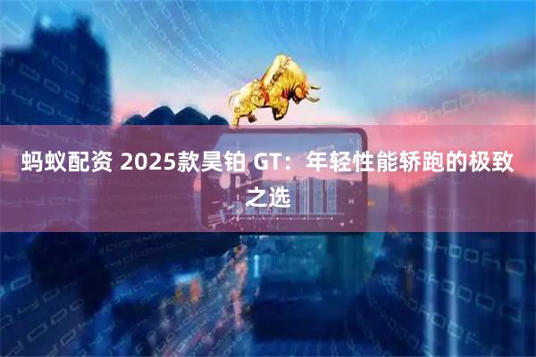 蚂蚁配资 2025款昊铂 GT：年轻性能轿跑的极致之选