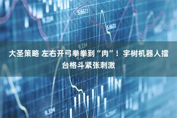 大圣策略 左右开弓拳拳到“肉”！宇树机器人擂台格斗紧张刺激