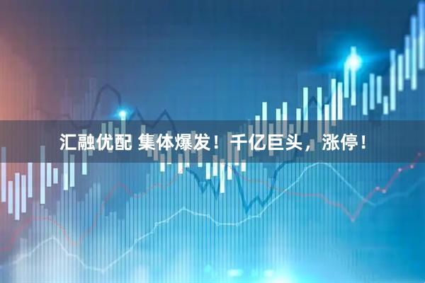 汇融优配 集体爆发！千亿巨头，涨停！
